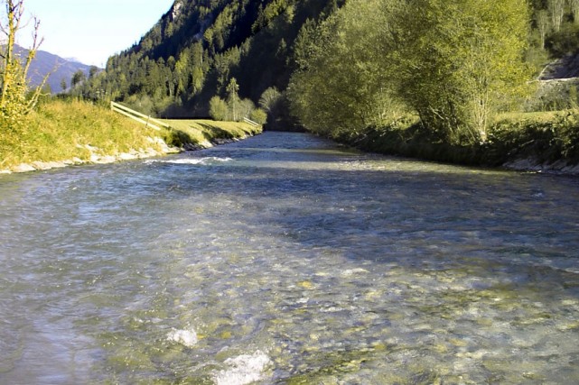 Angeln in der Enns