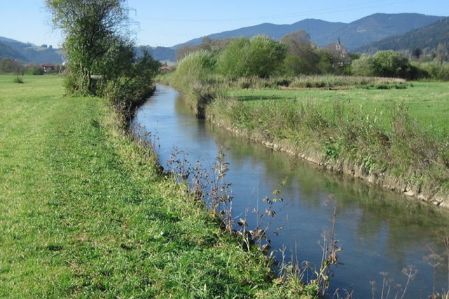 Angeln im Loh-Bach