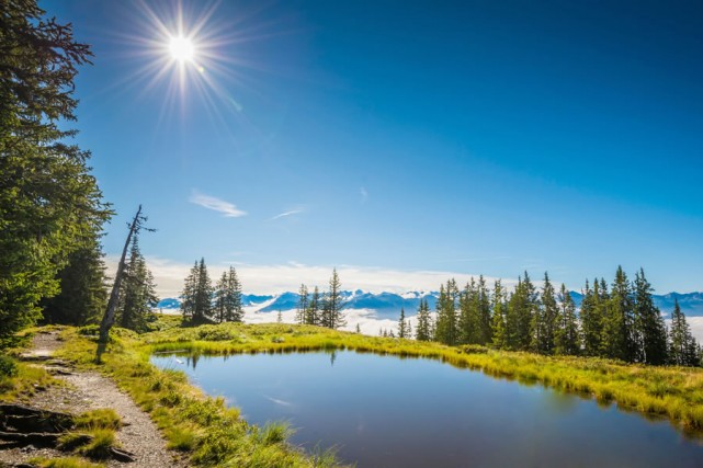 Sommerpanorama